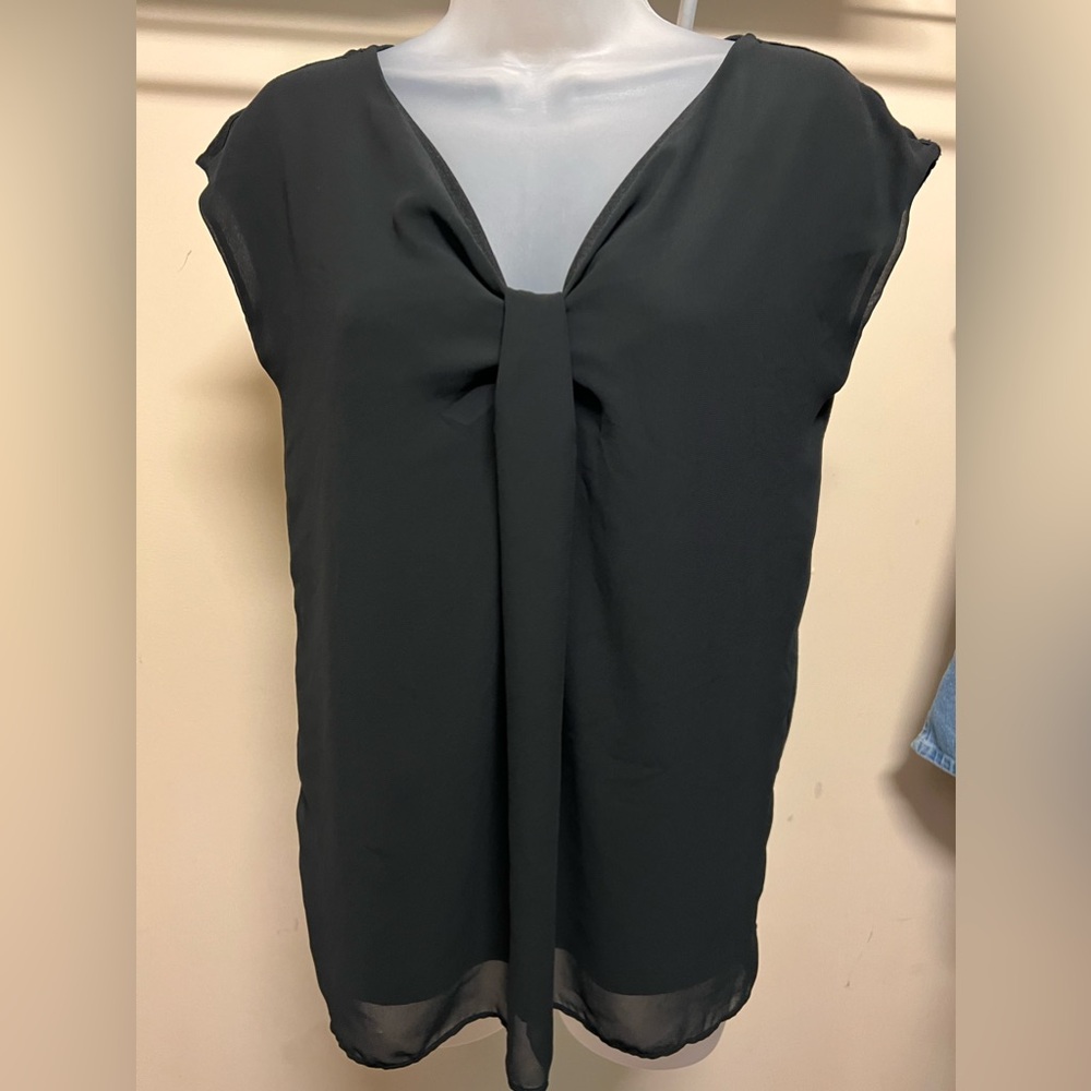Ann Taylor blouse (black) - Beautiful, sheer size small